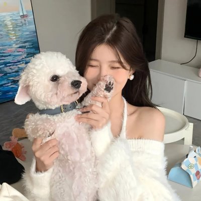蒂科与鲨鱼