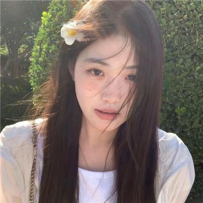 聪明的鸭子